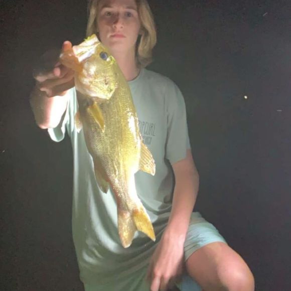 fisher_burney